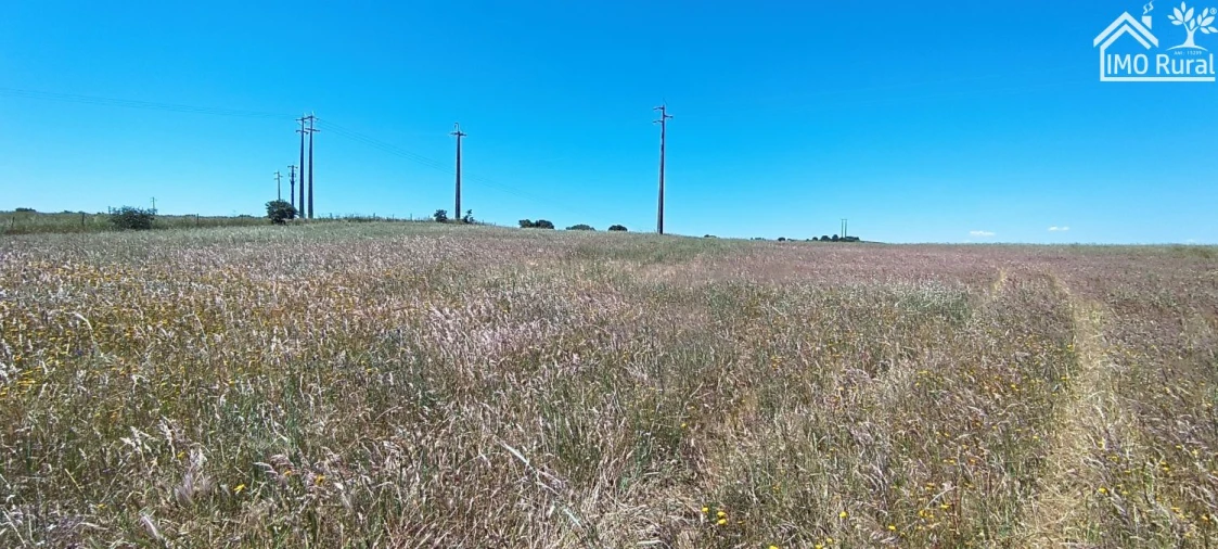 Quinta para Venda em São Vicente e Ventosa Foto 13