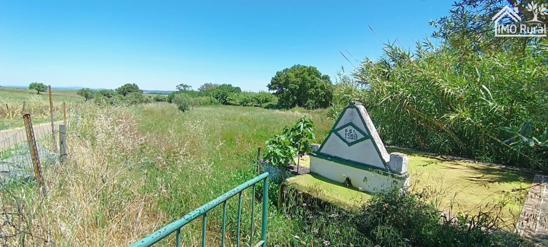 Quinta para Venda em São Vicente e Ventosa Foto 7