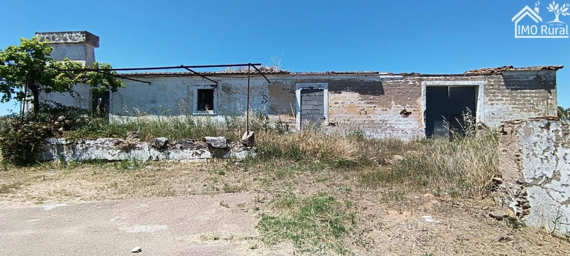 Quinta para Venda em São Vicente e Ventosa Foto 6
