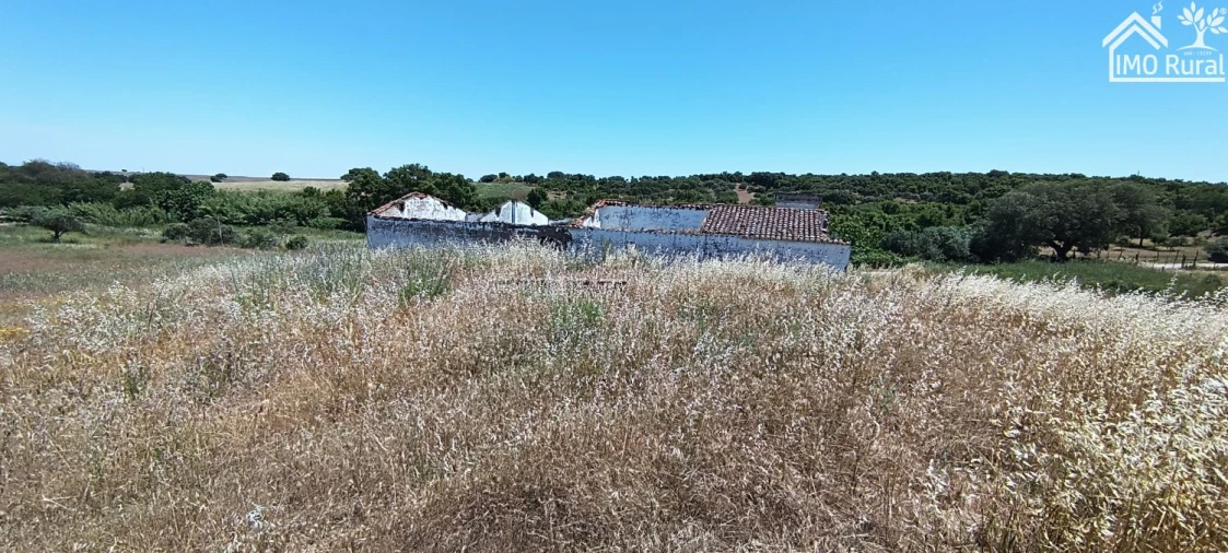 Quinta para Venda em São Vicente e Ventosa Foto 22