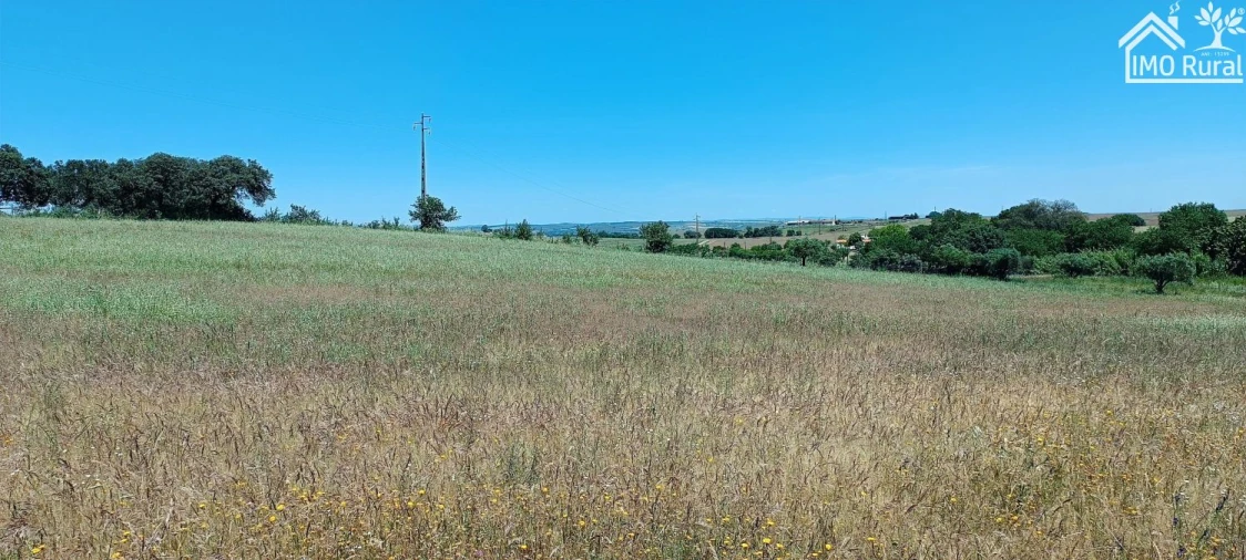 Quinta para Venda em São Vicente e Ventosa Foto 16
