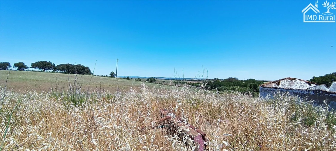 Quinta para Venda em São Vicente e Ventosa Foto 10