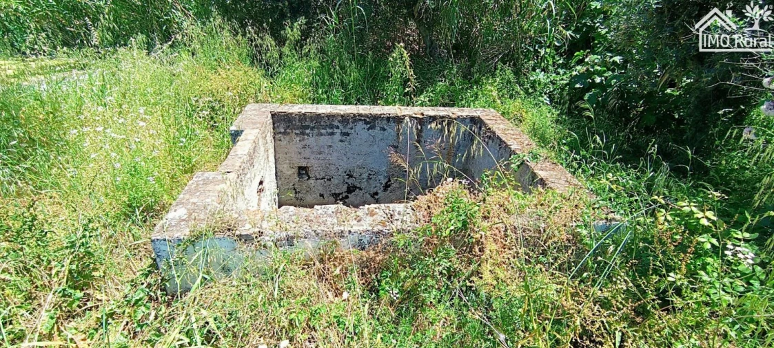 Quinta para Venda em São Vicente e Ventosa Foto 8