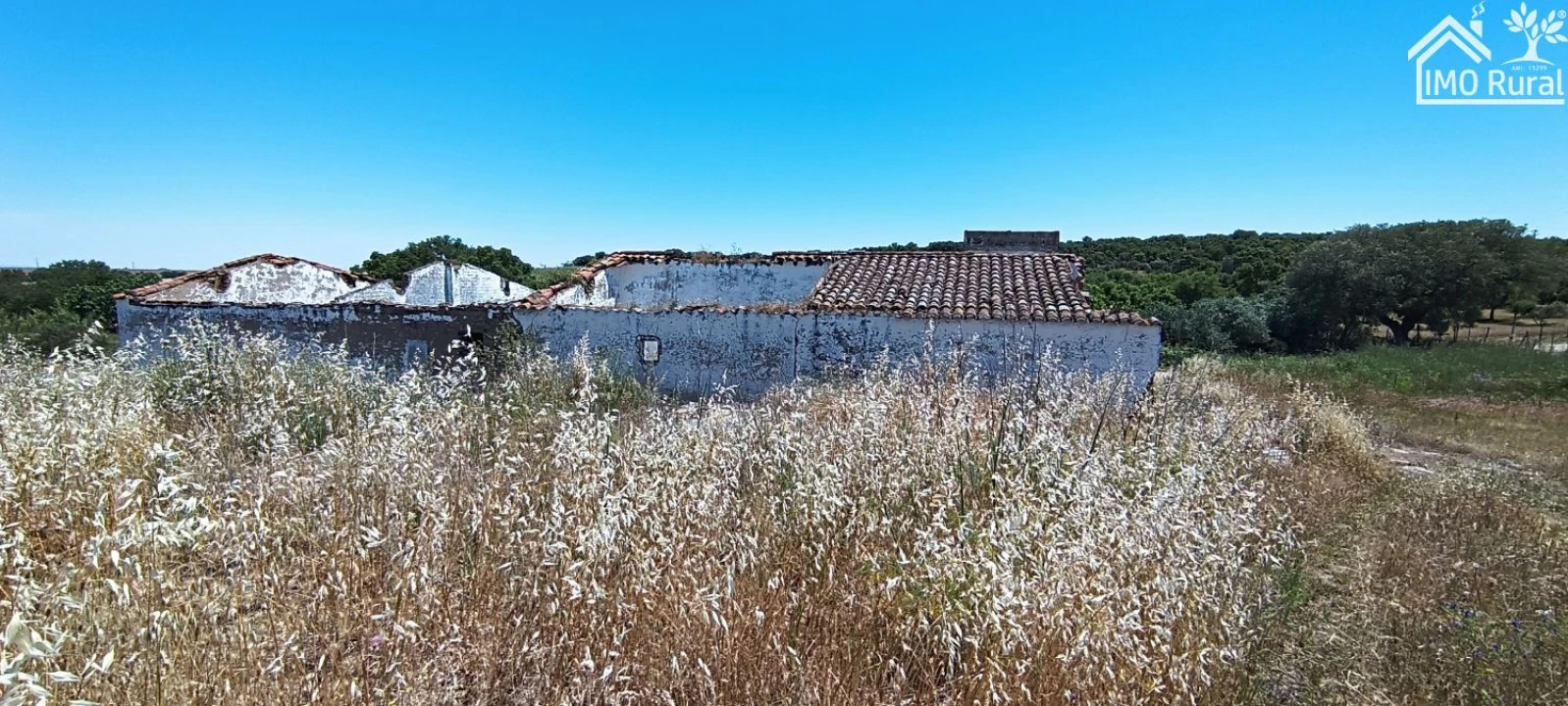 Quinta para Venda em São Vicente e Ventosa Foto 9
