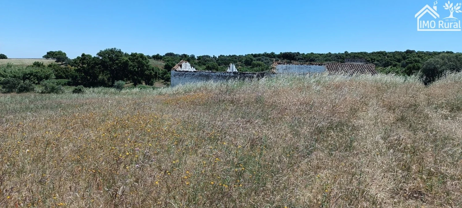 Quinta para Venda em São Vicente e Ventosa Foto 15