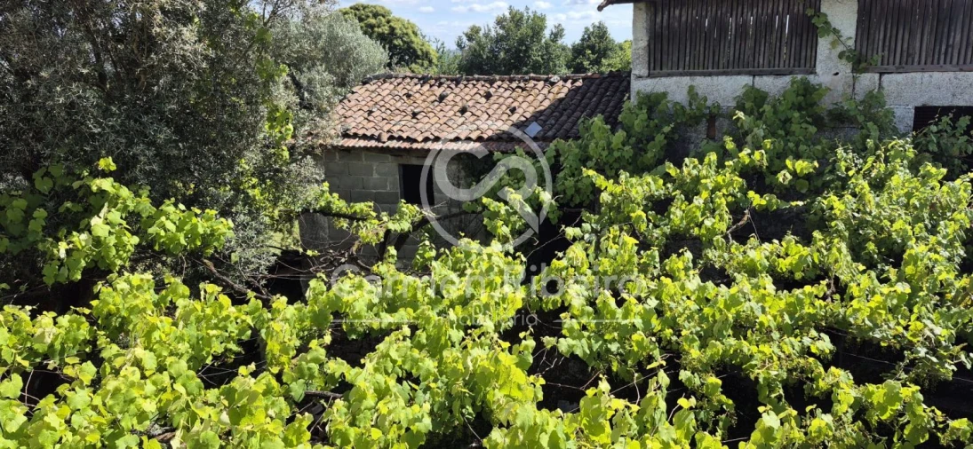 Moradia T3 para Venda em Estorãos Foto 13