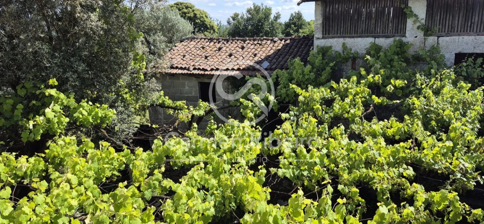 Moradia T3 para Venda em Estorãos Foto 13