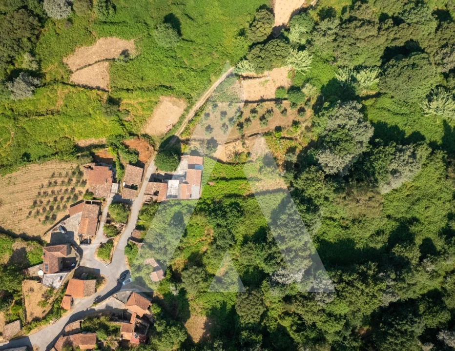 Quinta T6 para Venda em Vila Nova Foto 36