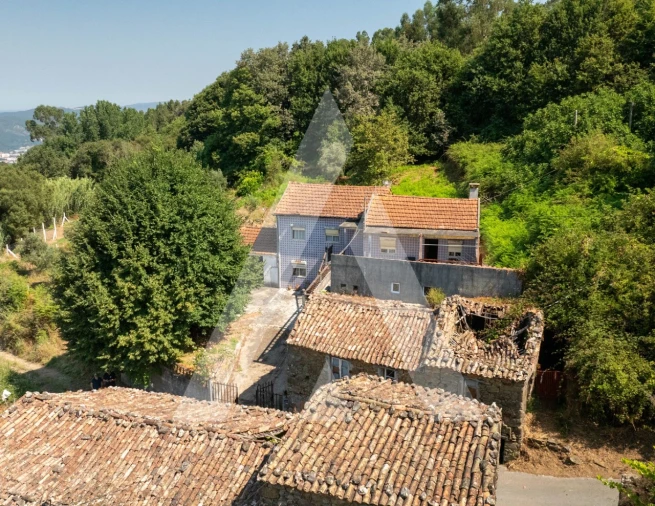 Quinta T6 para Venda em Vila Nova Foto 3