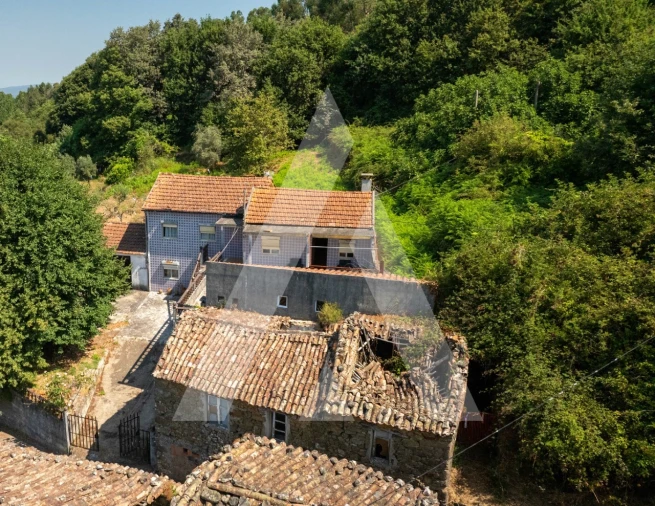 Quinta T6 para Venda em Vila Nova Foto 8