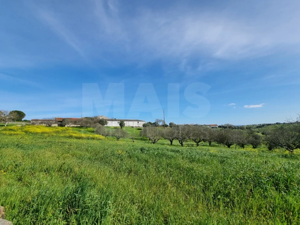 Quinta T4 para Venda em Torres Novas (Santa Maria, Salvador e Santiago) Foto 9