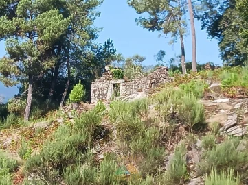 Terreno para Venda em Soajo