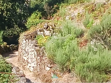 Terreno para Venda em Soajo