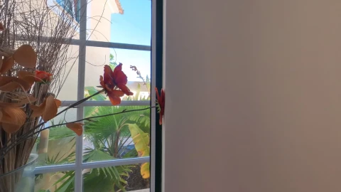 Moradia T4 para Venda em Quarteira