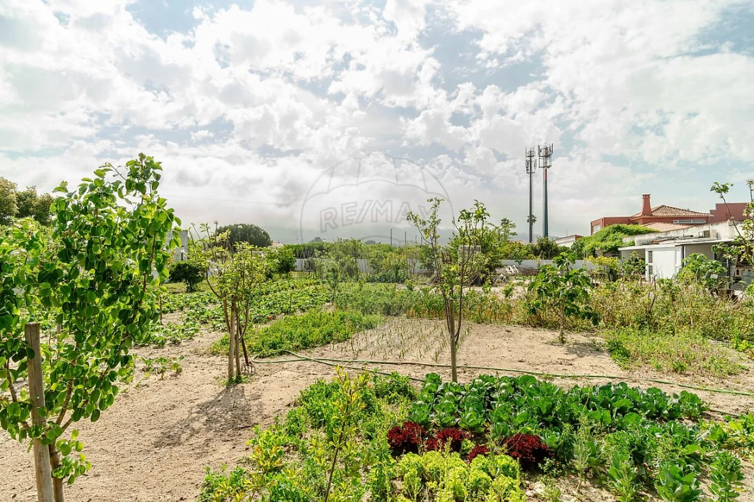 Moradia T5 para Venda em Azeitão (São Lourenço e São Simão) Foto 28