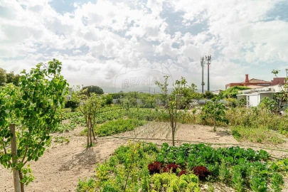 Moradia T5 para Venda em Azeitão (São Lourenço e São Simão)