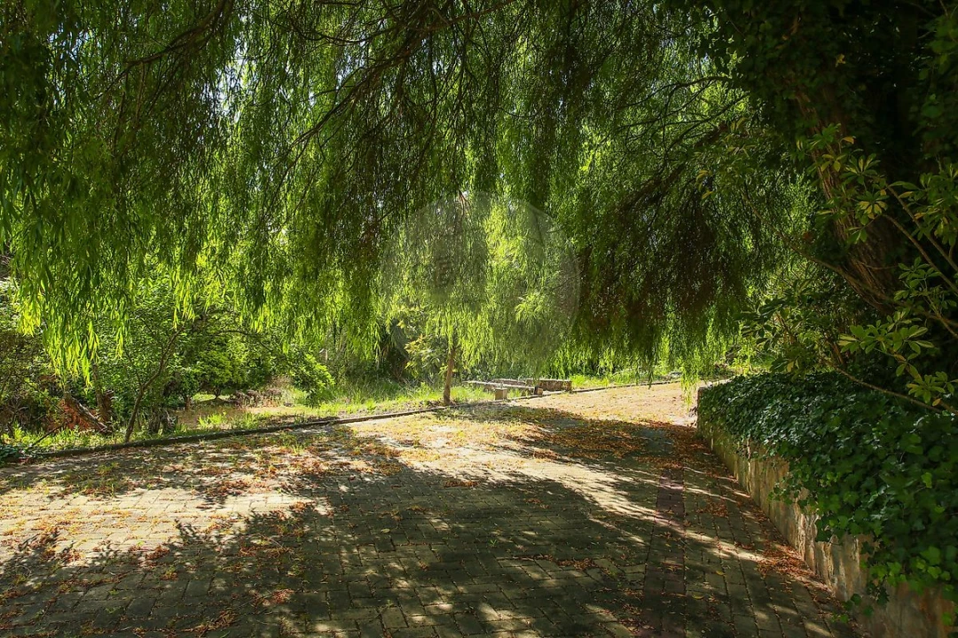 Quinta T
           para Venda em Carvoeira e Carmões Foto 39