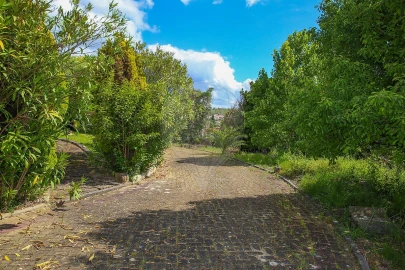 Quinta T
           para Venda em Carvoeira e Carmões