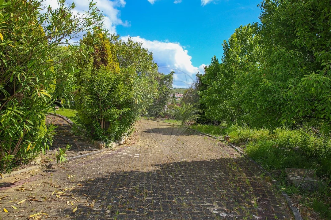 Quinta T
           para Venda em Carvoeira e Carmões Foto 44