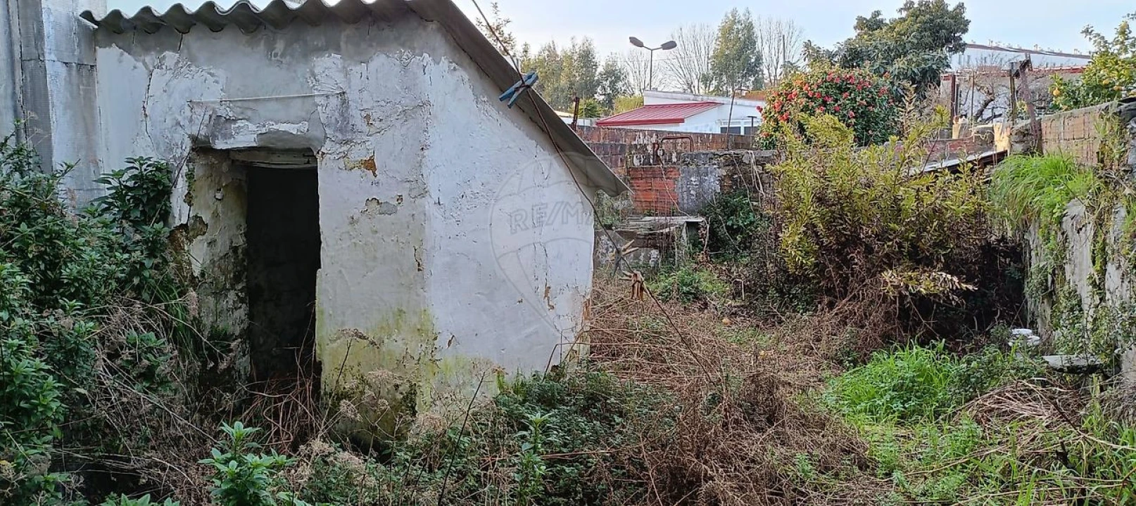 Moradia T2 para Venda em Ovar, São João, Arada e São Vicente de Pereira Jusã Foto 3