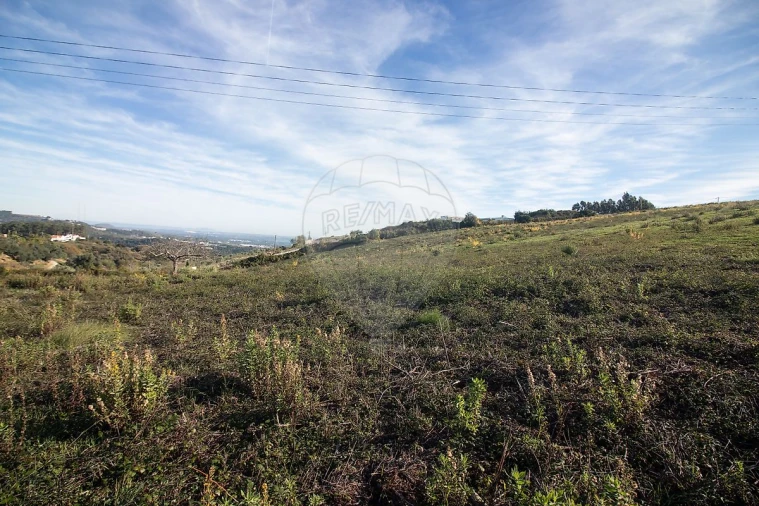 Moradia T3 para Venda em Alenquer (Santo Estêvão e Triana) Foto 29