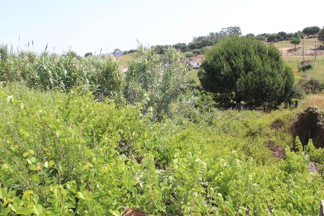 Terreno para Venda em Aveiras de Cima Foto 4