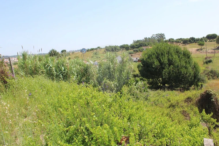 Terreno para Venda em Aveiras de Cima Foto 5