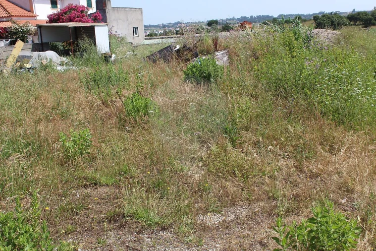 Terreno para Venda em Aveiras de Cima Foto 8