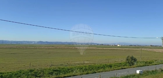Terreno para Venda em Samora Correia