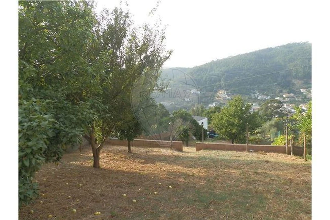 Terreno para Venda em Torres do Mondego Foto 1