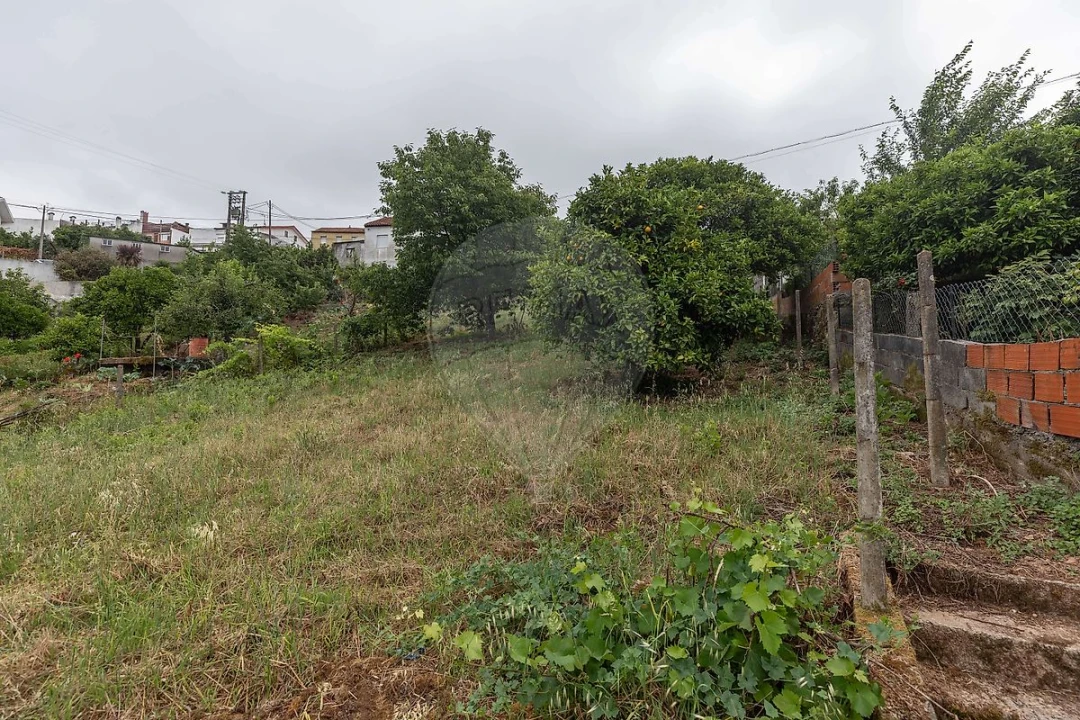 Terreno para Venda em Torres do Mondego Foto 6