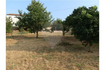 Terreno para Venda em Torres do Mondego