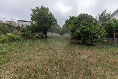 Terreno para Venda em Torres do Mondego