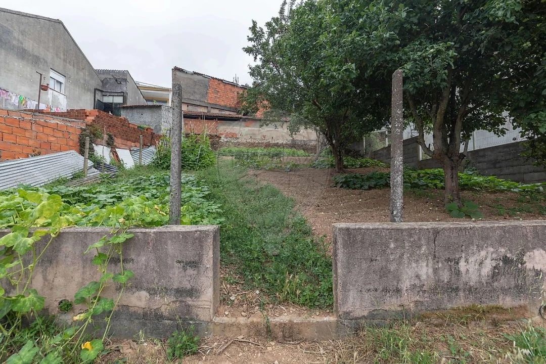 Terreno para Venda em Torres do Mondego Foto 8