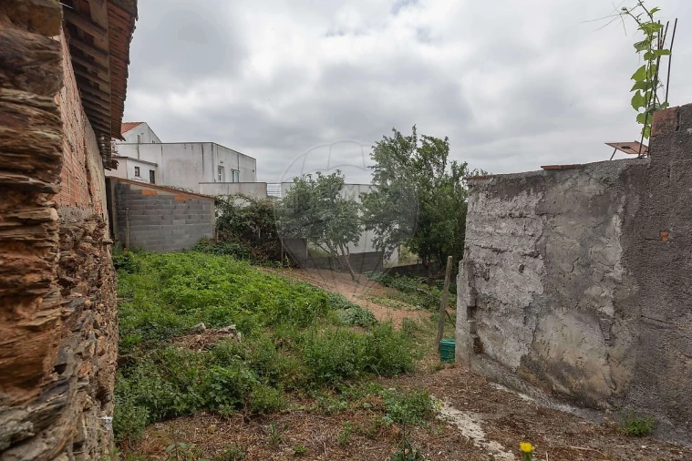 Terreno para Venda em Torres do Mondego Foto 20