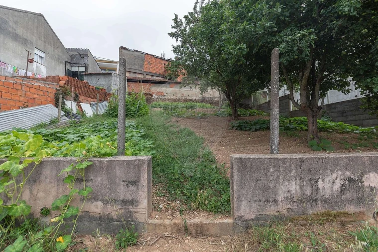Terreno para Venda em Torres do Mondego Foto 8