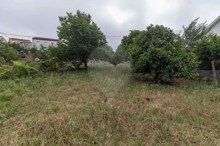 Terreno para Venda em Torres do Mondego Foto 5
