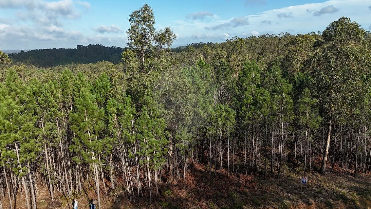 Terreno para Venda em Carnide Foto 1