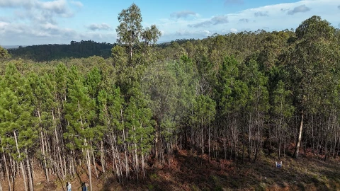 Terreno para Venda em Carnide