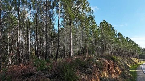 Terreno para Venda em Carnide