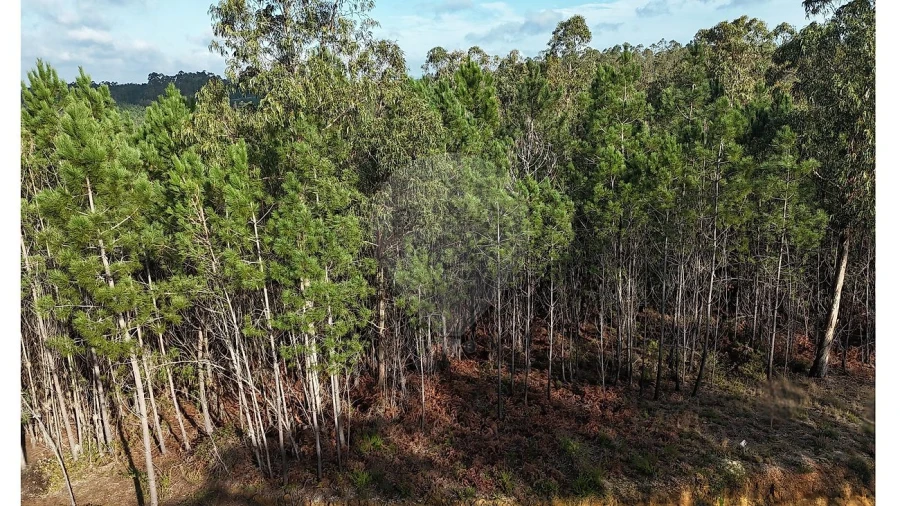 Terreno para Venda em Carnide Foto 2