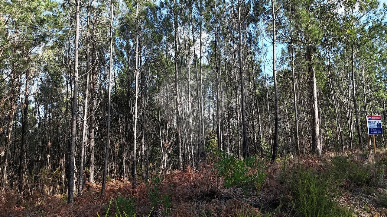 Terreno para Venda em Carnide Foto 3