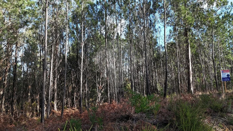 Terreno para Venda em Carnide Foto 3