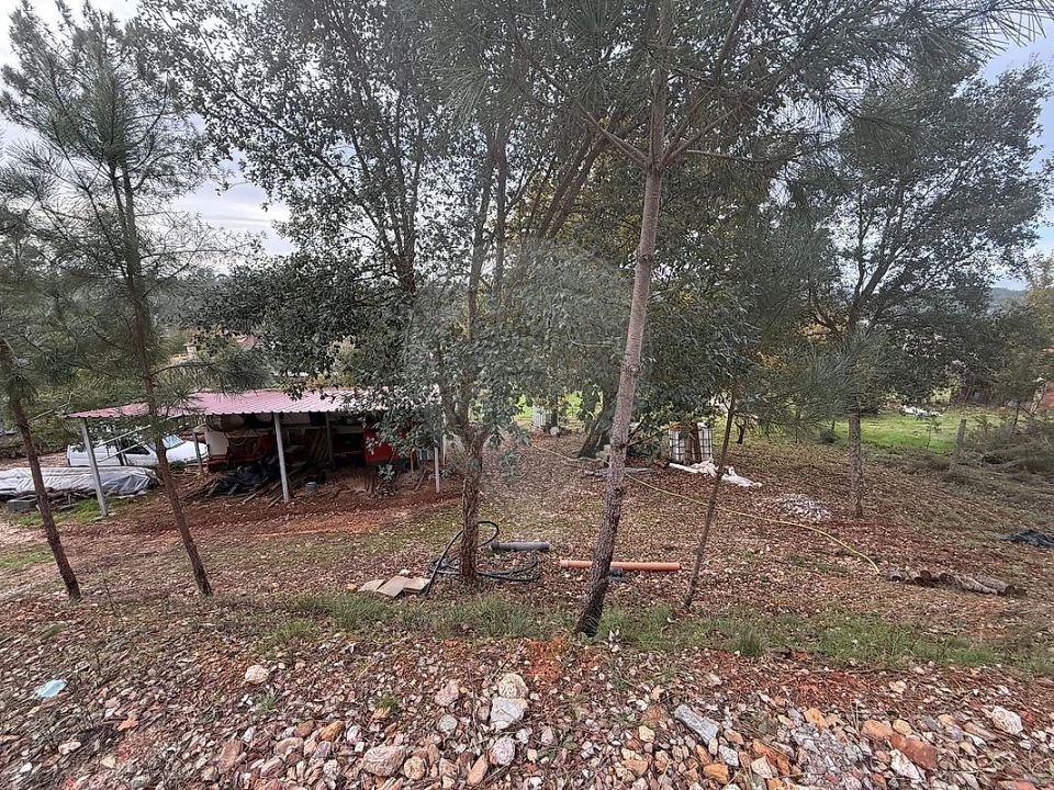 Terreno para Venda em Secarias Foto 2