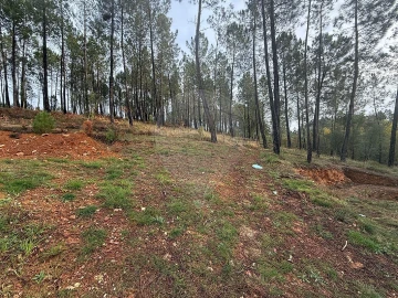Terreno para Venda em Secarias