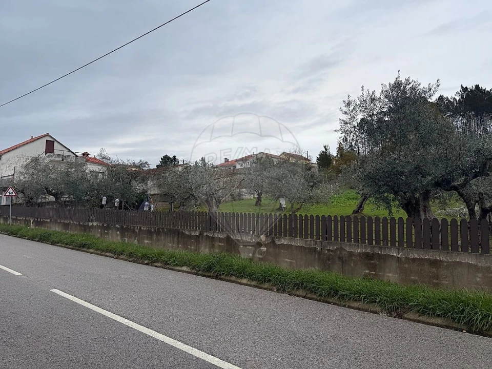 Terreno para Venda em Secarias Foto 24