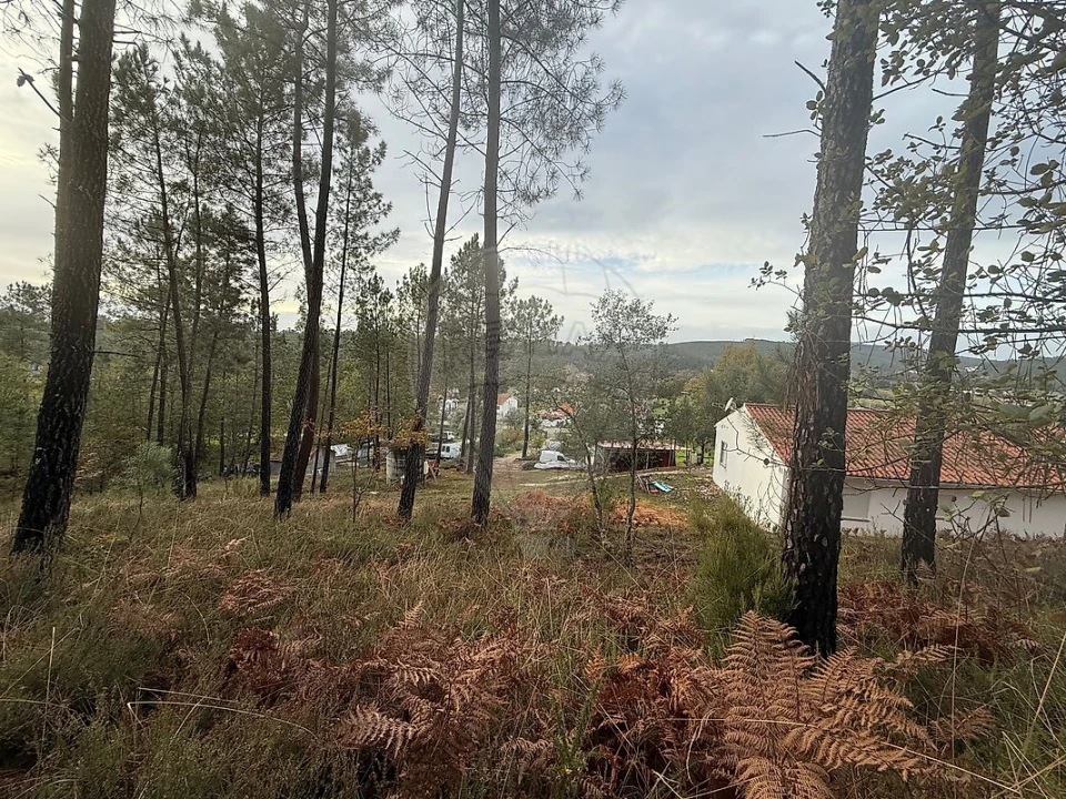 Terreno para Venda em Secarias Foto 9