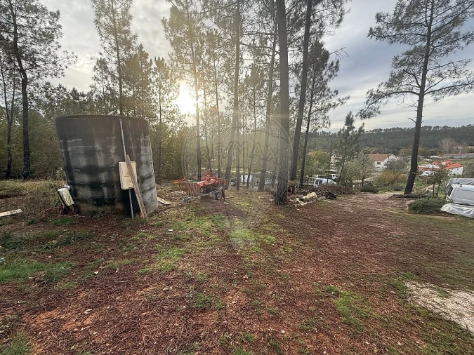 Terreno para Venda em Secarias Foto 6
