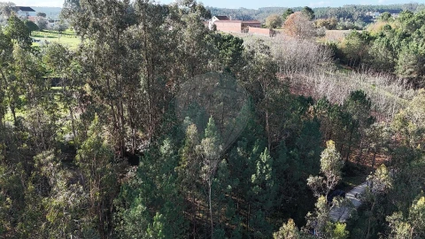 Terreno para Venda em Carnide