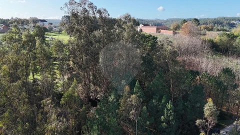 Terreno para Venda em Carnide